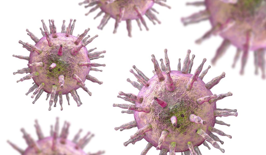 A computer image of the Epstein-Barr virus. Photo: Alamy