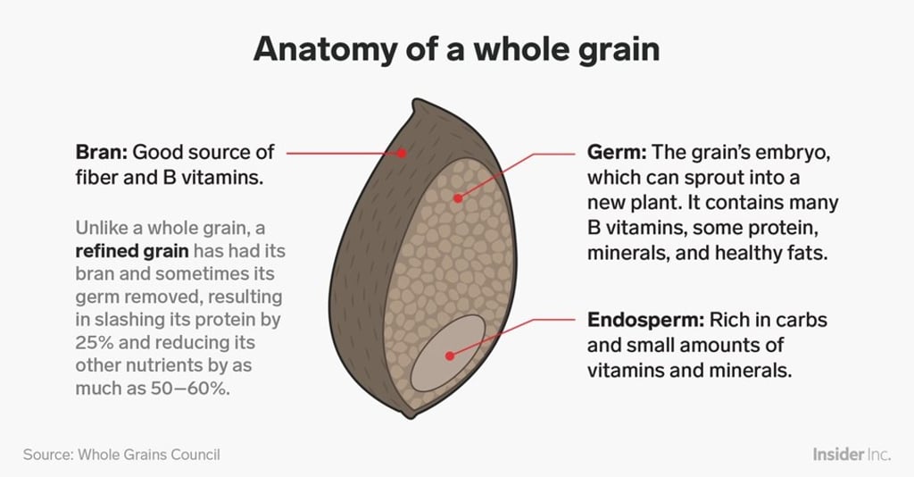 Wholegrains provide protein and fibre which the body needs. Illustration: Business Insider Wholegrains provide protein and fibre which the body needs. Illustration: Business Insider
