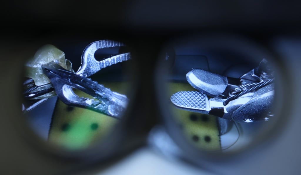 A one-year feasibility and safety trial using the system was completed successfully. Photo: Nora Tam