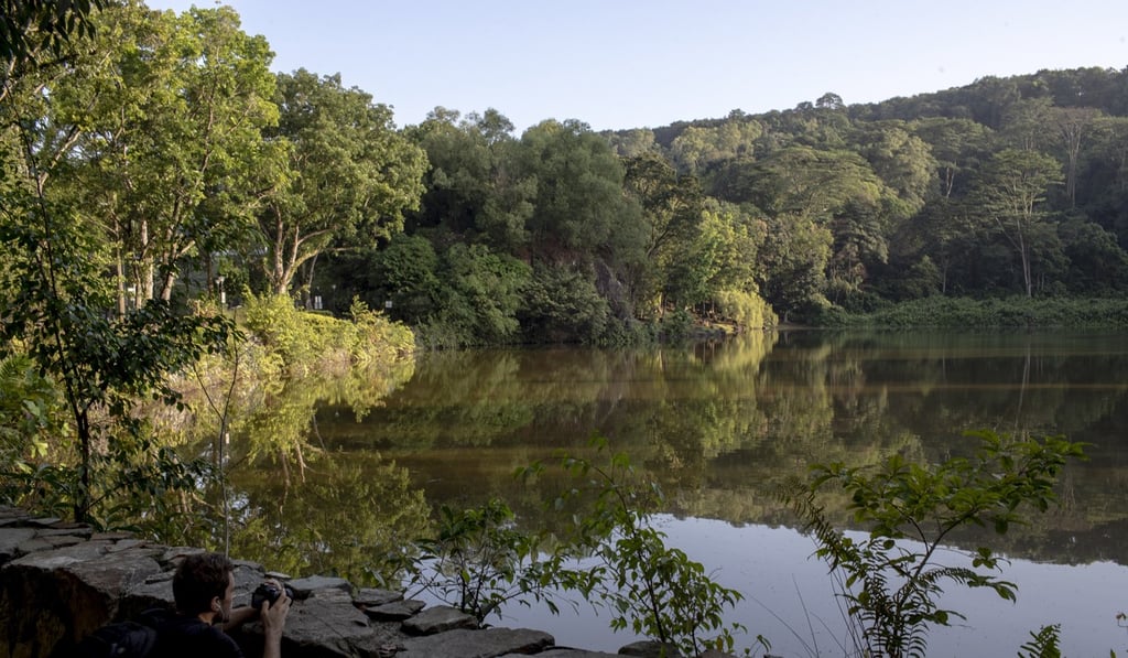 Singapore is home to 75 nature, community, and heritage parks, one of which is the Bukit Batok Nature Park. Photo: EPA-EFE Singapore is home to 75 nature, community, and heritage parks, one of which is the Bukit Batok Nature Park. Photo: EPA-EFE
