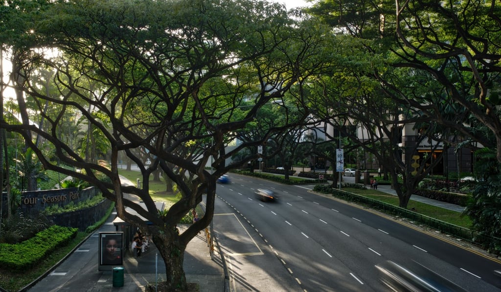 Singapore’s 1967 ”garden city” vision focused on improving cleanliness and urban greening. Photo: Alamy