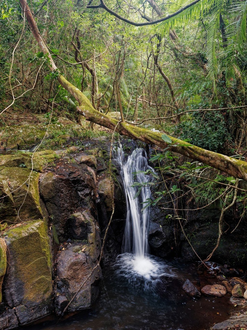 A waterfall near Sha Lo Tung. Photo: Martin Williams