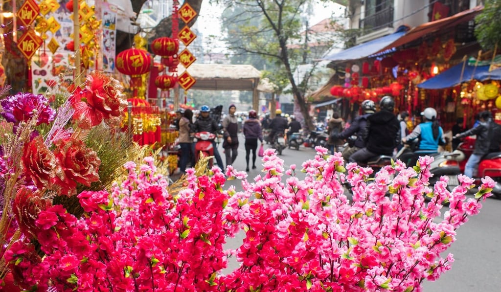 Lunar New Year cherry blossoms in Hanoi. Photo: Alamy