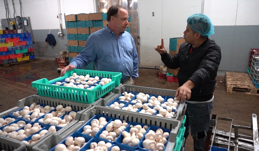 Chris Alonzo (left) talks with a worker at his mushroom farm in Pennsylvania. Alonzo now has a minority stake in a joint venture with China. Photo: Xinyan Yu Chris Alonzo (left) talks with a worker at his mushroom farm in Pennsylvania. Alonzo now has a minority stake in a joint venture with China. Photo: Xinyan Yu