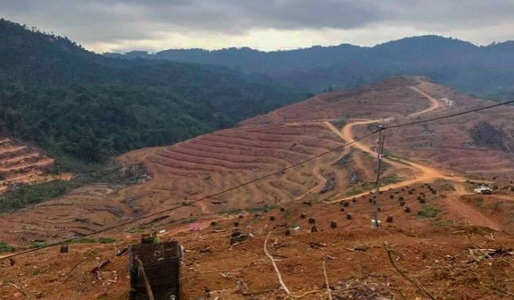 Thousands of acres have been set aside for durian orchards in Malaysia, like this site in Pos Simpor. Photo: JKOAK Thousands of acres have been set aside for durian orchards in Malaysia, like this site in Pos Simpor. Photo: JKOAK