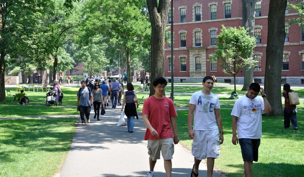 Some Chinese students have extended their graduate studies to give themselves a better shot at jobs or US citizenship. Photo: Alamy