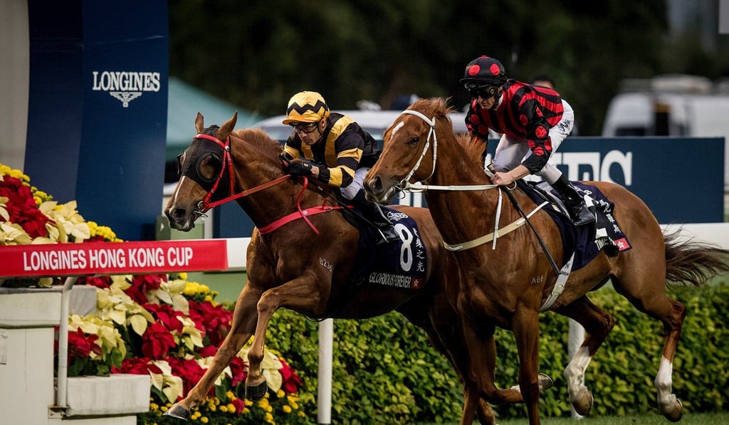 Glorious Forever (left), ridden by Silvestre de Sousa, battles with brother Time Warp, ridden by Zac Purton, in the Longines Hong Kong Cup at Sha Tin last December.
