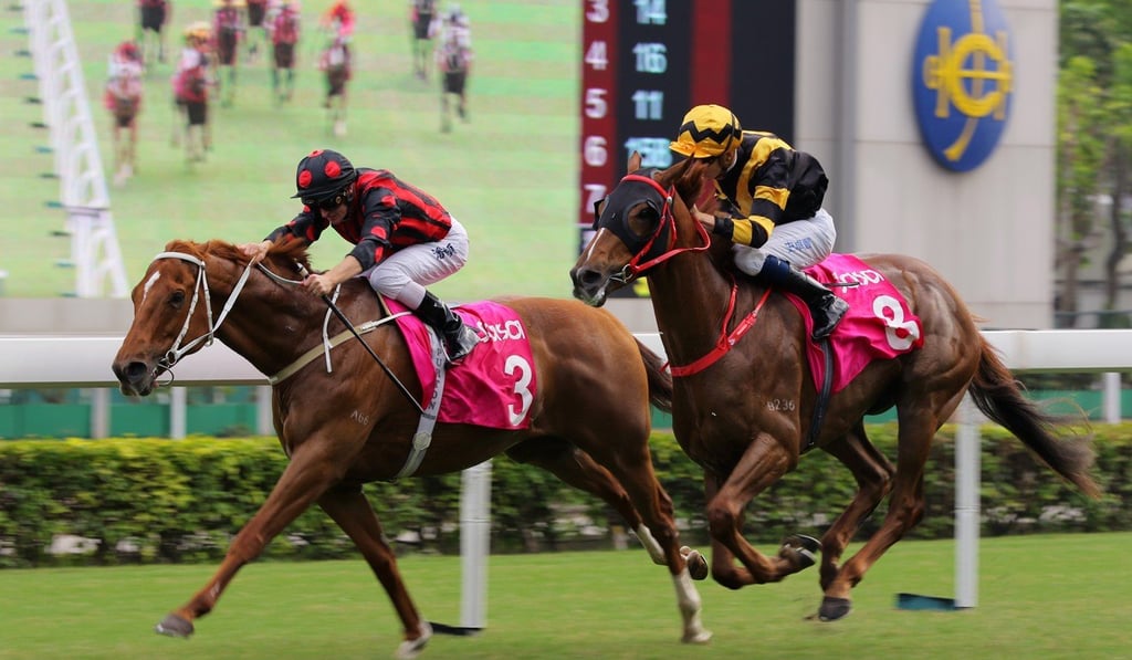 Time Warp (No 3), ridden by Zac Purton, beats Glorious Forever (No 8) to win the Sa Sa Ladies’ Purse at Sha Tin last November.