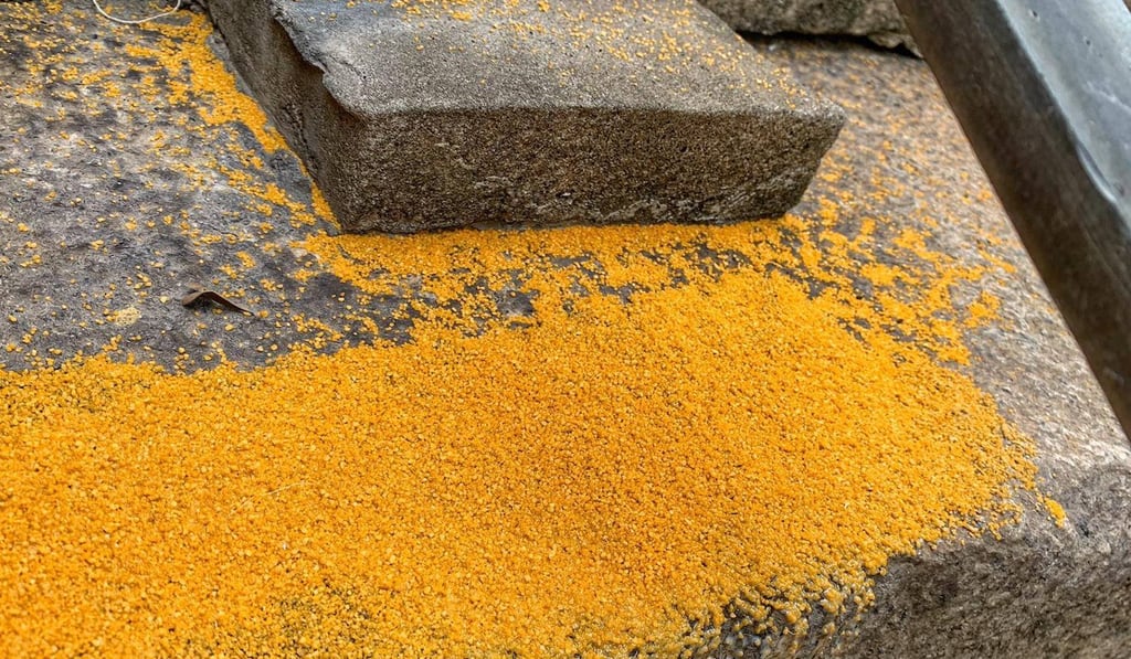 Yellow anti-skid coating was found on about 100 steps in Sheung Wan. Photo: Facebook Yellow anti-skid coating was found on about 100 steps in Sheung Wan. Photo: Facebook