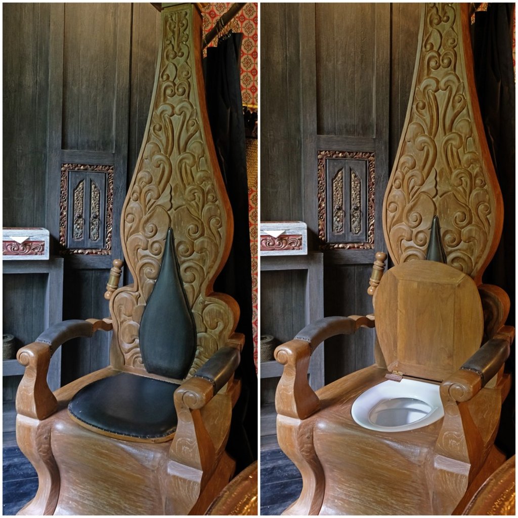 The ‘throne’ toilet.