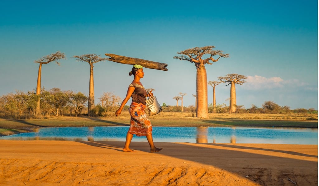 The Avenue of the Baobabs, Madagascar. Picture: Alamy The Avenue of the Baobabs, Madagascar. Picture: Alamy
