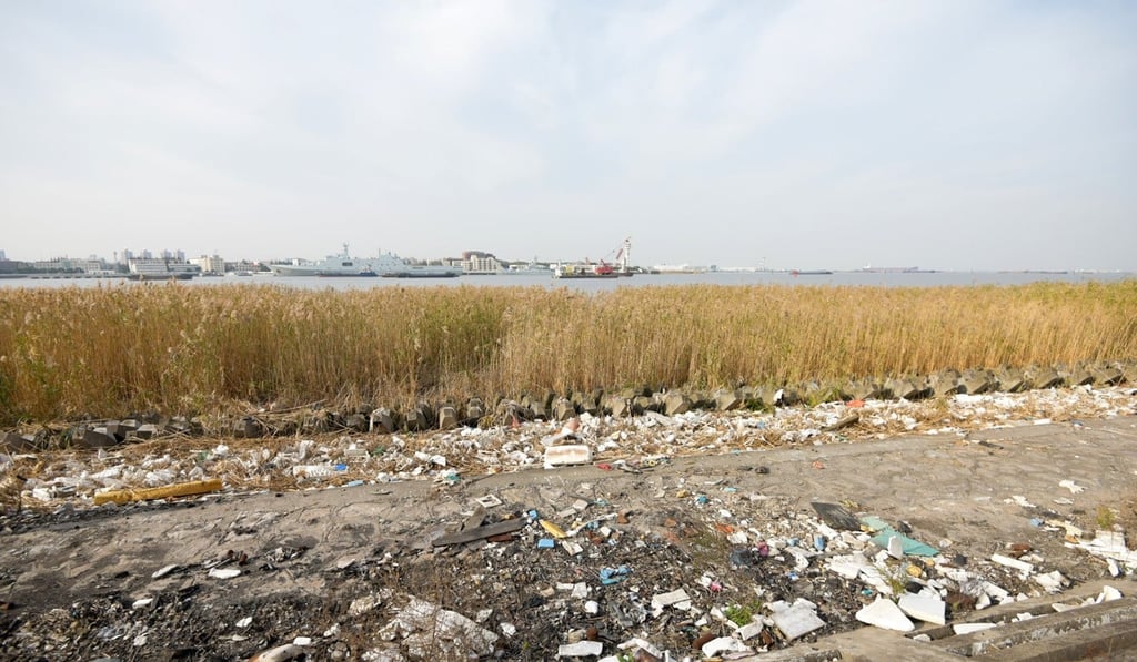 Rubbish plagues shores near the mouth of the Yangtze River. Photo: Shanghai Rendu Ocean NGO Development Centre