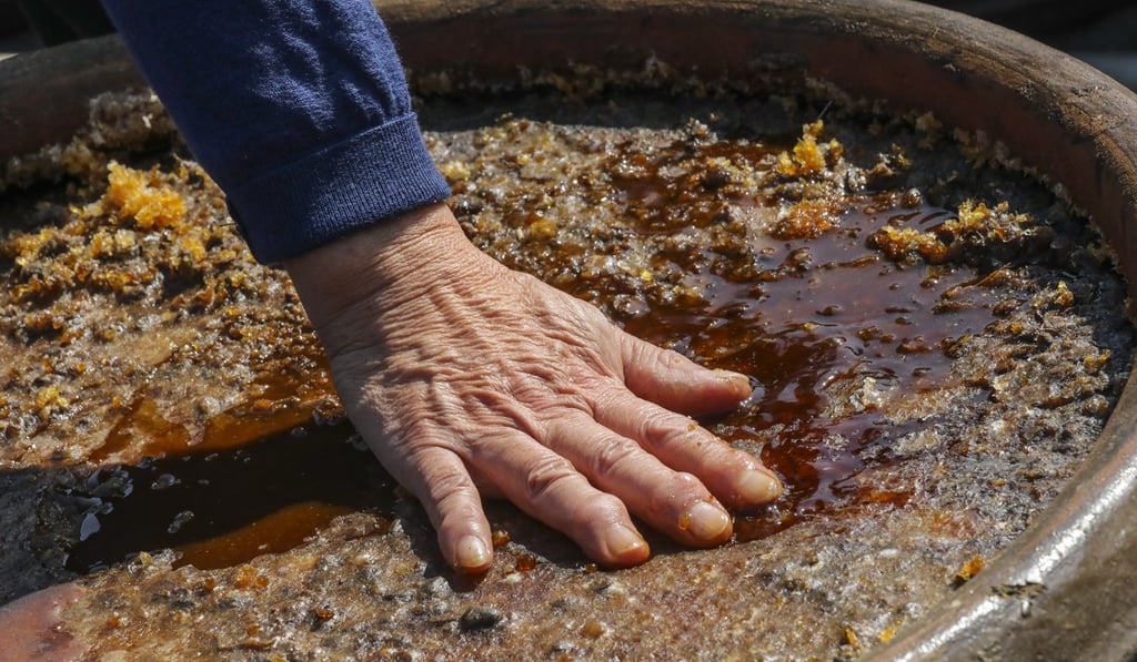 Fermentation to produce soy sauce at Kwong Tak Lung. Photo: Dickson Lee