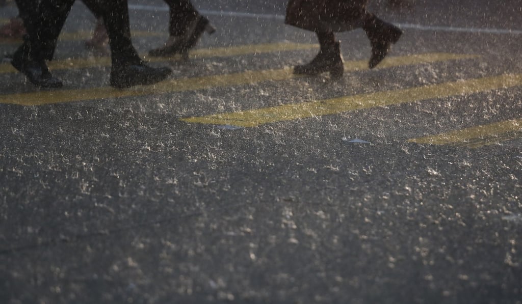 According to Observatory figures, no rainstorm signal had ever been issued in the month of February. Photo: Xiaomei Chen