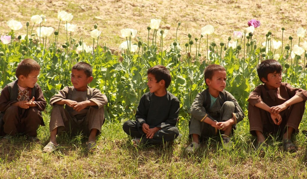 Afghan children sit next to a poppy field in the Argo district of Badakhshan province in June 2018. The US government has spent billions of dollars on a war to eliminate drugs from Afghanistan, but the country still remains the world's top opium producer. Photo: AFP