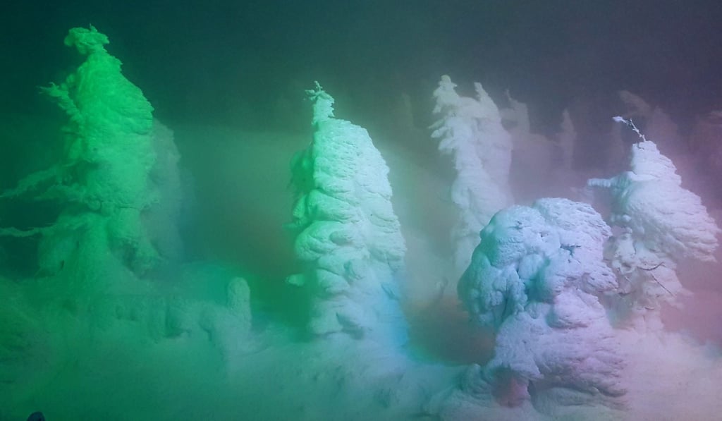 Multi-coloured lights illuminate the rimes or ‘juhyo’ – snow monsters – created by frozen, snow-covered trees, at night in Zao Onsen Multi-coloured lights illuminate the rimes or ‘juhyo’ – snow monsters – created by frozen, snow-covered trees, at night in Zao Onsen