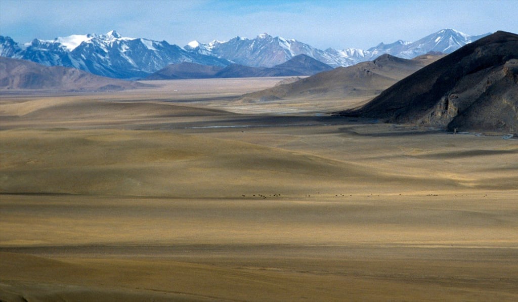Towards the end of the Cultural Revolution, Shan left the Gobi after gaining approval to study languages at the Beijing Institute of Foreign Trade. Photo: Alamy