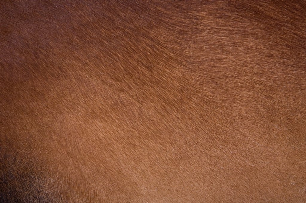 Natural fur products have a leather base.
