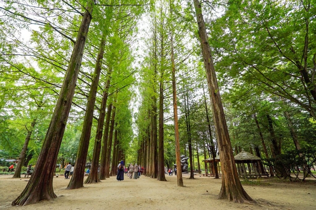 A striking tree-lined pathway on Nami Island, which was used as the setting for the 2002 romantic drama series ‘Winter Sonata’. Photo: Korea Tourism Organisation