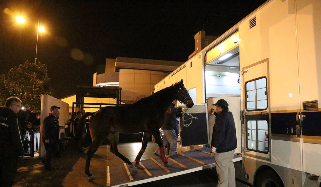 A horse is taken aboard an air-conditioned transport truck, which is fitted with mood lighting, ice boxes and water sprays. Photo: Hong Kong Jockey Club A horse is taken aboard an air-conditioned transport truck, which is fitted with mood lighting, ice boxes and water sprays. Photo: Hong Kong Jockey Club