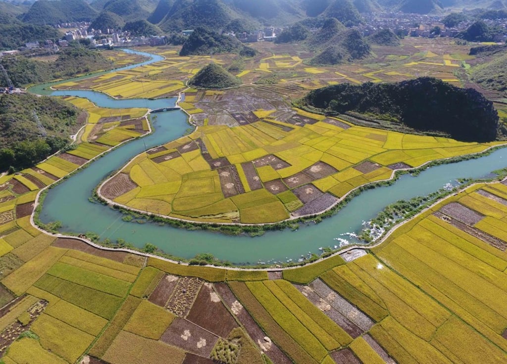 Rice fields at Balong Village in southwest China’s Yunnan province. Photo: Xinhua