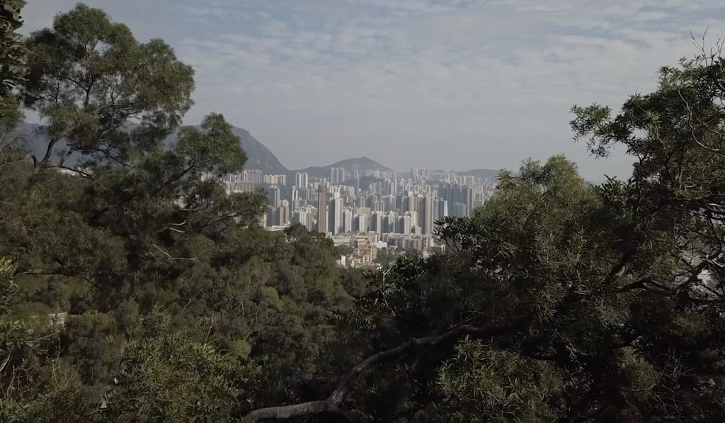 A view of Hong Kong’s iconic skyline through a gap in the trees from the course of the Vibram Hong Kong 100 Ultra Trail Race. Photo: Albert Ling A view of Hong Kong’s iconic skyline through a gap in the trees from the course of the Vibram Hong Kong 100 Ultra Trail Race. Photo: Albert Ling
