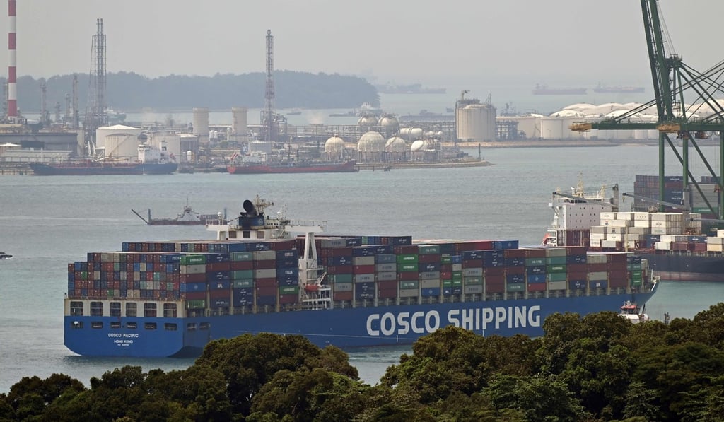 A container ship arrives at Pasir Panjang port in Singapore. Photo: AFP