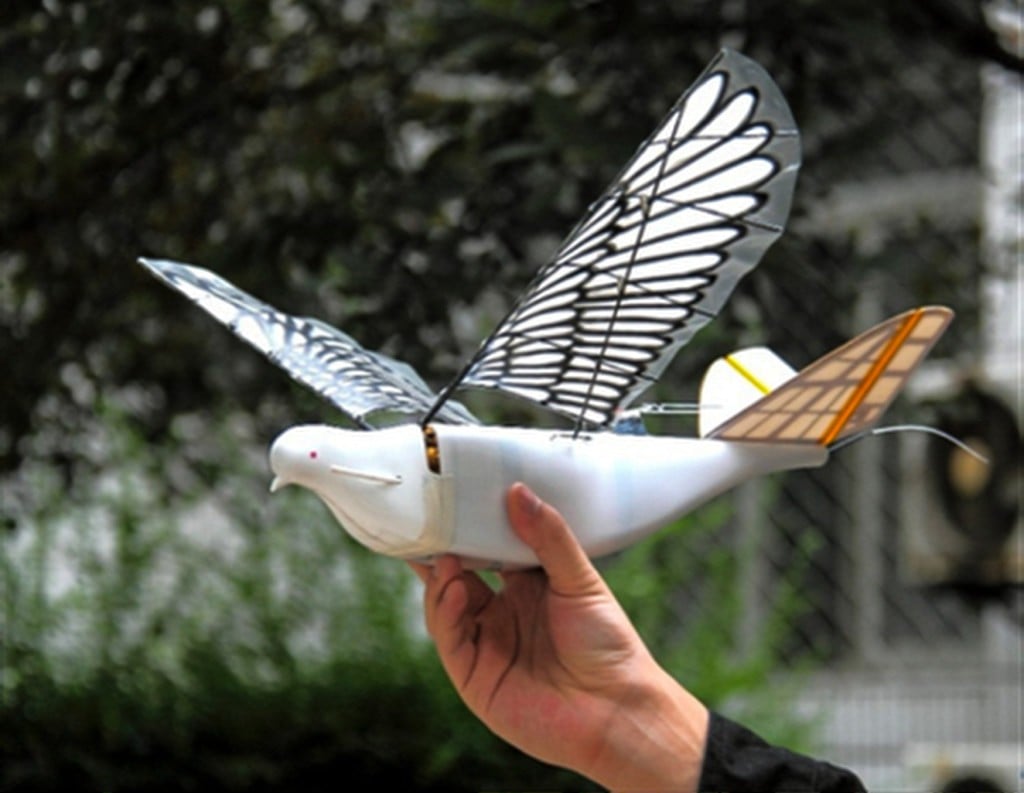 Engineers at Northwestern Polytechnical University in China's Xi'an made these birdlike drones. (Picture: Northwestern Polytechnical University) Engineers at Northwestern Polytechnical University in China's Xi'an made these birdlike drones. (Picture: Northwestern Polytechnical University)