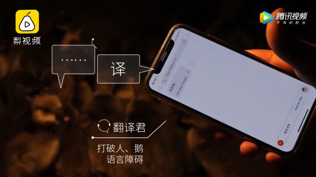A screenshot from Tencent’s promo video for “AI Eco Goose Factory” explains that we will soon be able to translate what geese are saying through the power of artificial intelligence. Picture: Tencent/Pear Video