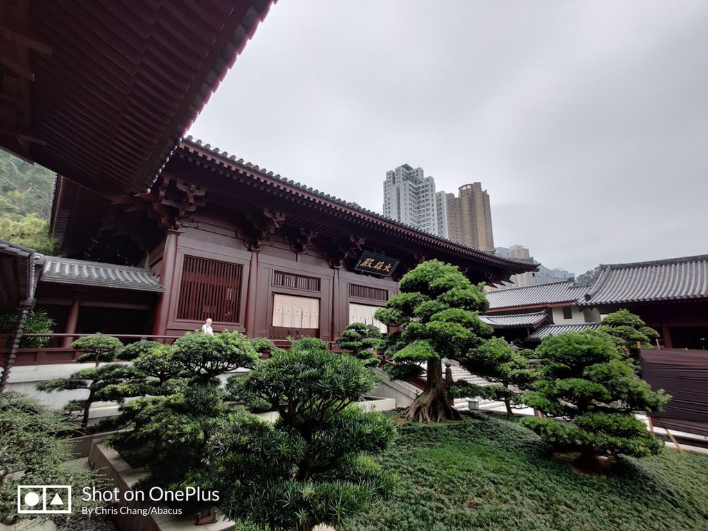 Ultra-wide-angle (13mm), ISO 100, f/2.2, 1/500 sec.