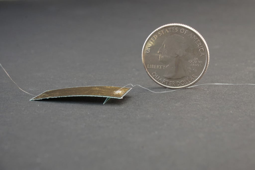 A prototype soft robot, which is about the size of a postage stamp, was developed by a group of researchers from China and the US. Its design was inspired by the capabilities of the hardy cockroach. (Picture: Handout) A prototype soft robot, which is about the size of a postage stamp, was developed by a group of researchers from China and the US. Its design was inspired by the capabilities of the hardy cockroach. (Picture: Handout)