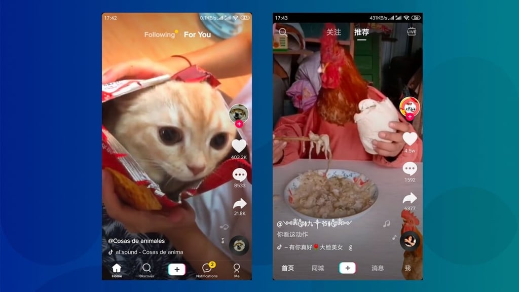 No matter where they live in the world, everyone loves goofy animals. (Picture: TikTok and Douyin)