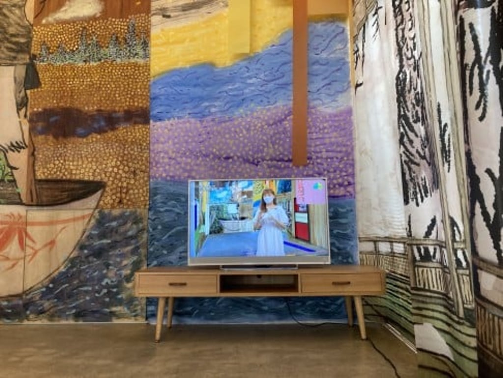 Video of ‘fake TV programmes’ is part of the Half-step House exhibition.