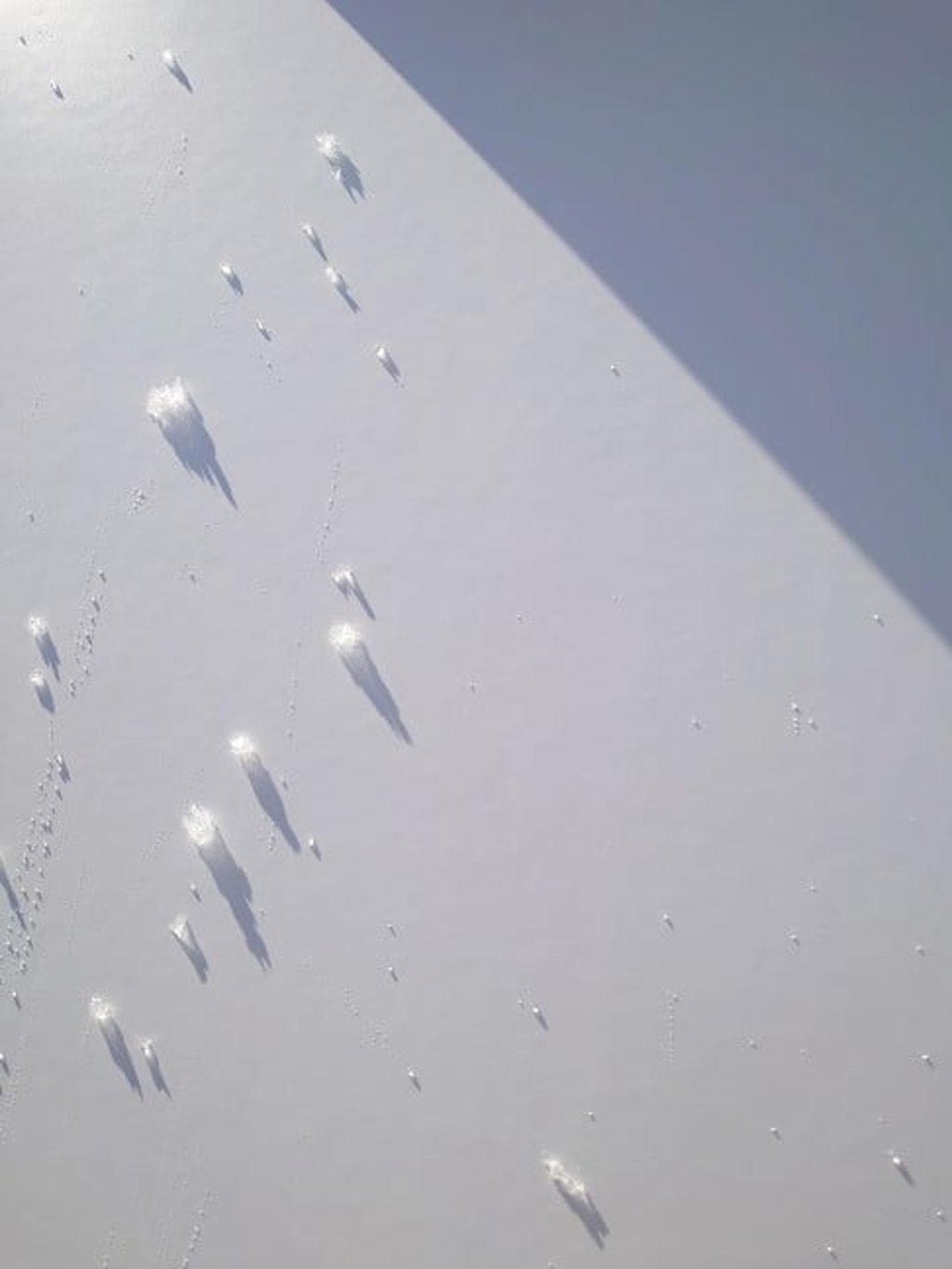 Photograph by Reiko Komiyama who participated in the Painting by God workshop in Tsunan.