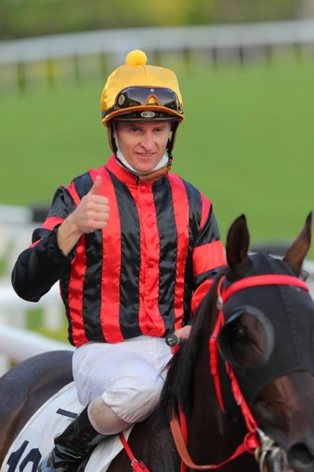 Scoring seven wins in a single race meeting in October 2022. Scoring seven wins in a single race meeting in October 2022.