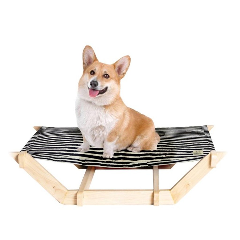 Pet lifestyle product from Barketek Pet lifestyle product from Barketek