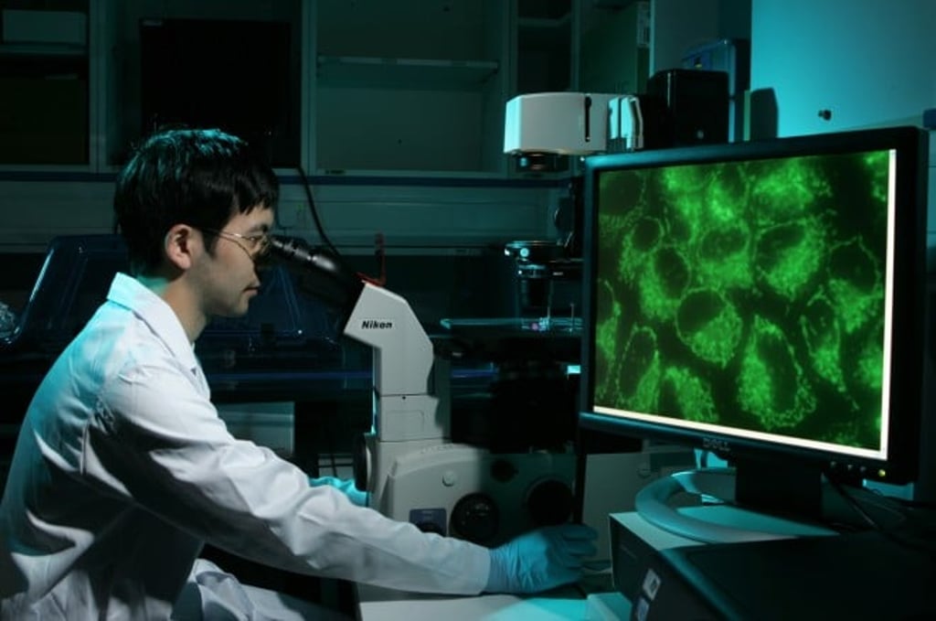 An undergraduate student doing a research project under UROP. An undergraduate student doing a research project under UROP.