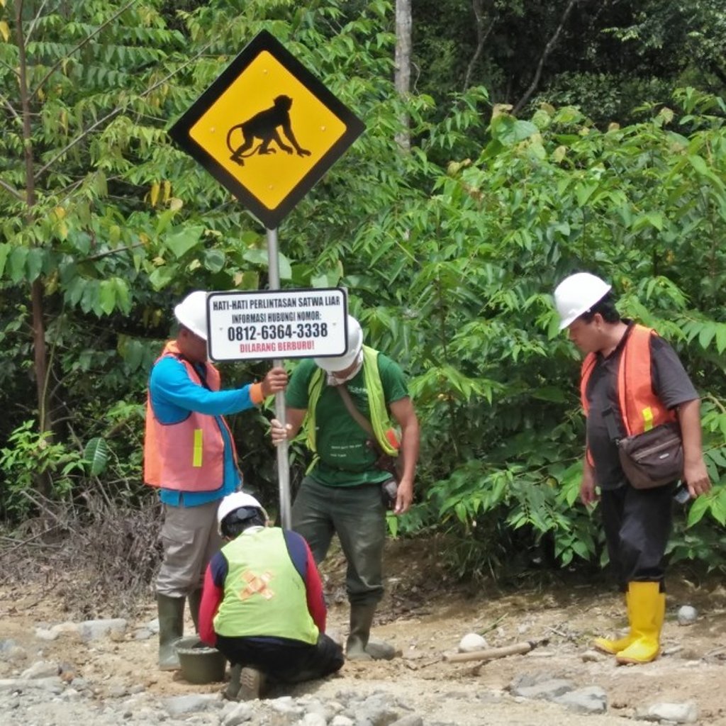 PT. North Sumatera Hydro Energy (NSHE) workers placing a sign to remind people to be cautious with wildlife in the BatangToru Forest. NSHE is fully aware that wildlife is a very important aspect of the BatangToru Forest.  NSHE is fully committed to protecting the biodiversity of the Forest.