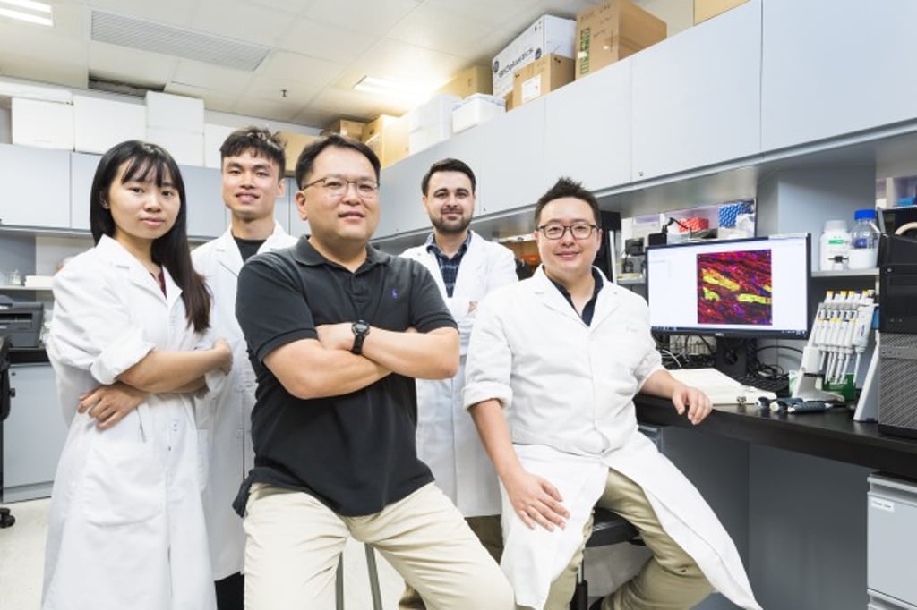 Dr Ban Ki-won (middle) and his research team at CityU. Dr Ban Ki-won (middle) and his research team at CityU.