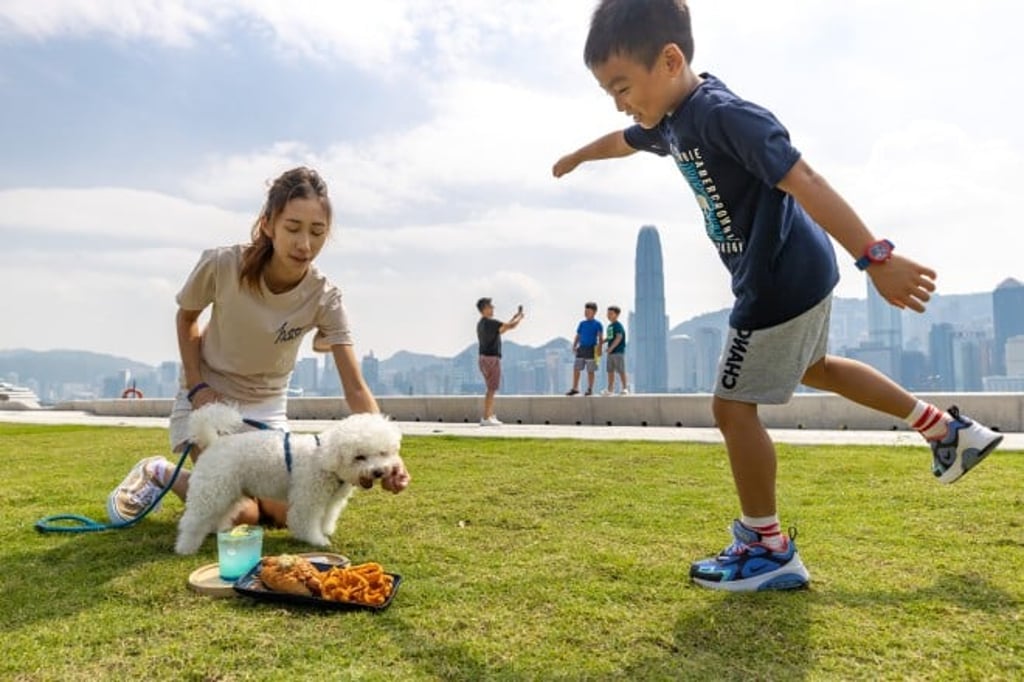 Enjoy a picnic on the lawn at the pet-friendly West Kowloon Art Park.
