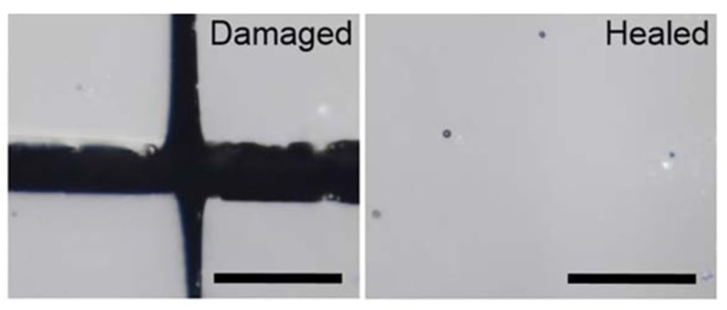 Damaged coating with a cross-cut (left) and after repair (right). Damaged coating with a cross-cut (left) and after repair (right).