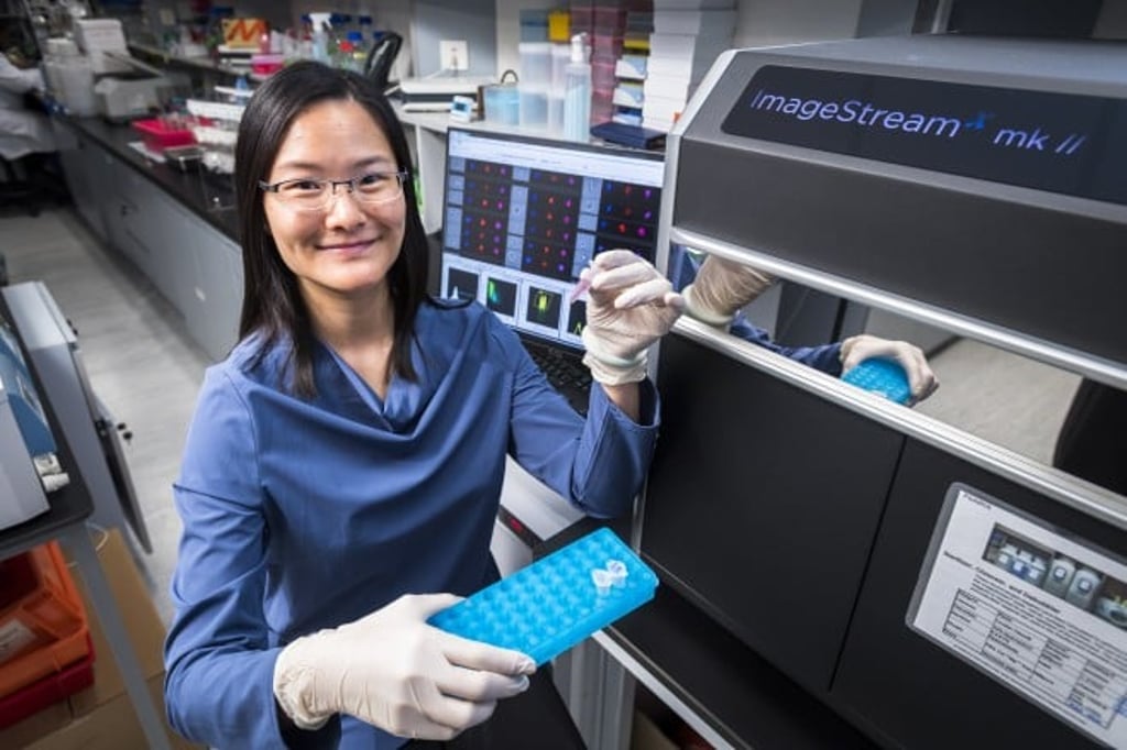 Dr Chow’s research team focuses on investigating how pDCs contribute to anti-tumour immunity.