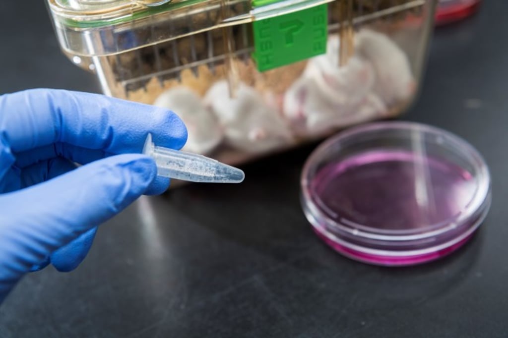 The compound, called phorbiplatin, offers hope for minimising the damage that “normal” cells undergo during treatment for a broad range of cancers.