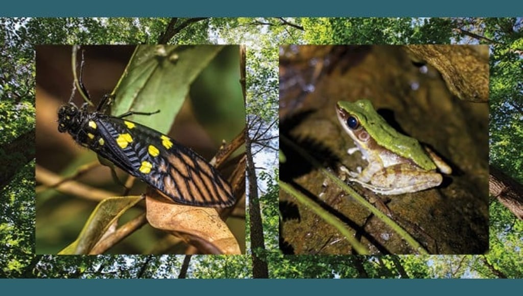 A parallel universe of nature and tranquillity awaits.