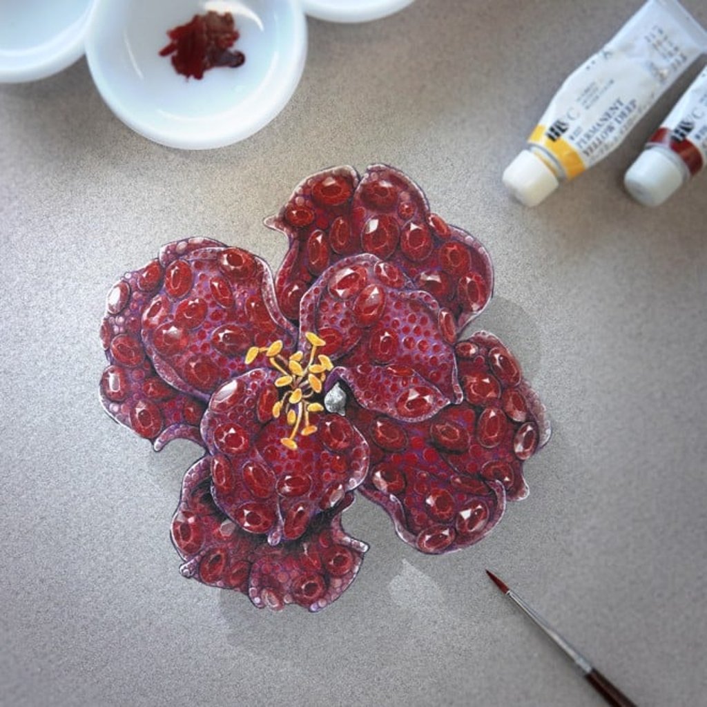 An initial sketch of the Peony Brooch. An initial sketch of the Peony Brooch.