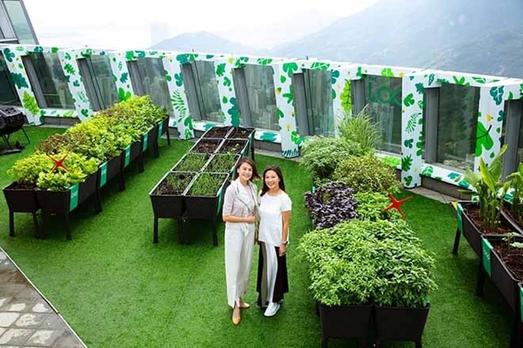 DBS Hong Kong and Taikoo Place will also launch a revamped collection process to convert leftovers from DBS’ OIE office into compost to nourish crops at The Loop at One Island East urban farm.