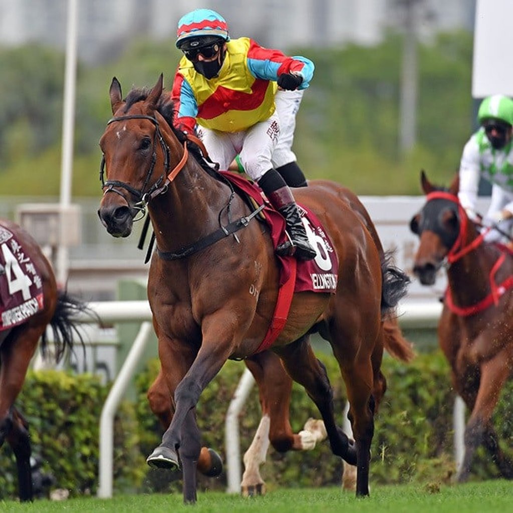 Wellington soars to Chairman’s Sprint Prize glory for Alexis Badel.