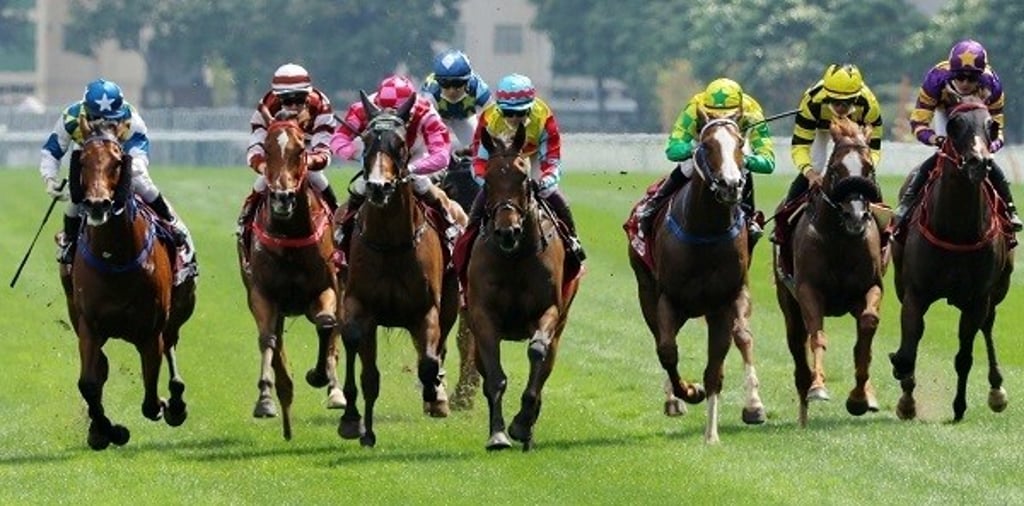 Wellington lands back-to-back wins in the Chairman’s Sprint Prize under Alexis Badel.