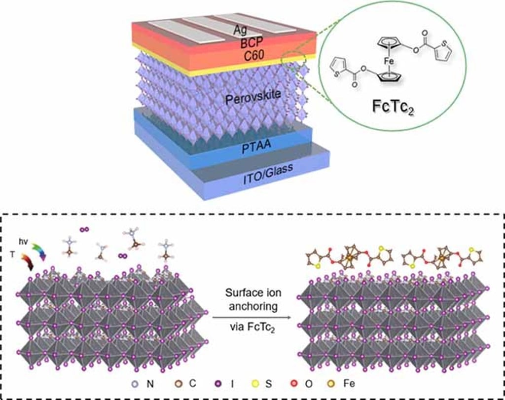 Top: The molecular structure of ferrocene-based metallic compound FcTc2 and its application in PSCs. Bottom: The working mechanism of the ferrocene-based metallic compound.