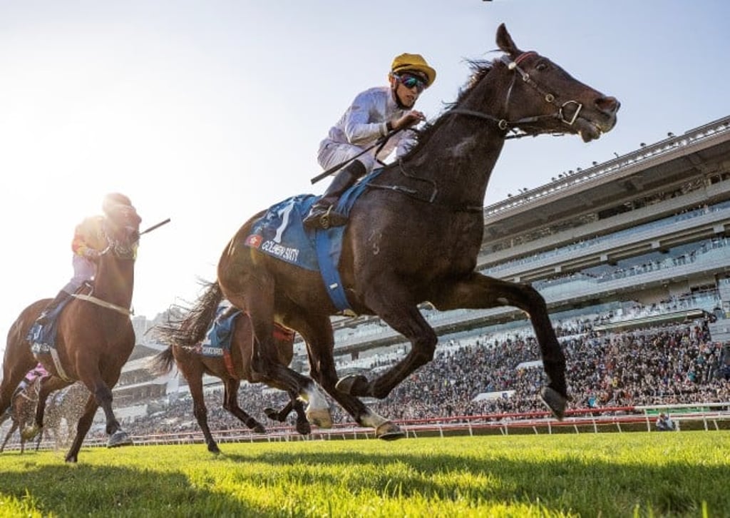 Because of the large number of members wanting to own racehorses and the small quantity of permits available, the Club has set up a ballot process to give everyone a fair opportunity.